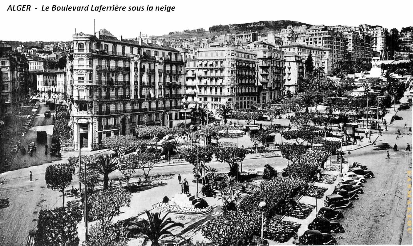 Alger - Boulevard Laferriere sous la Neige.jpg